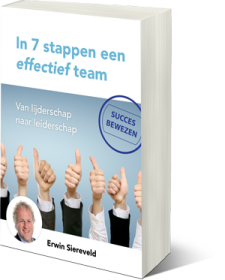 E-book in 7 stappen een effectief team. Personal & Business Improvement